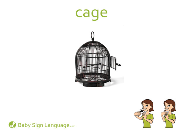 Cage Baby Sign Language Flash card