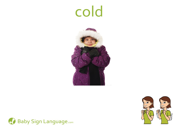Cold Baby Sign Language Flash card