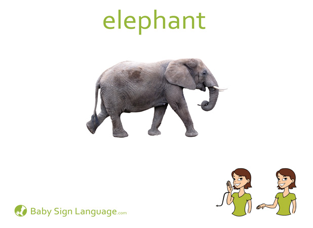 Exceptional image inside asl animal signs printable Breathtaking image for asl animal signs printable