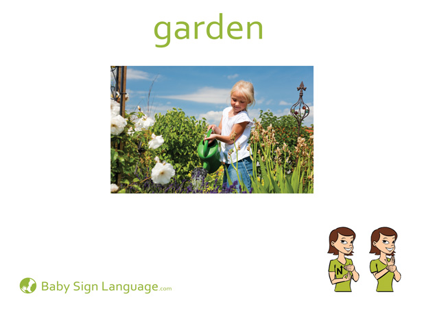 Garden Baby Sign Language Flash card