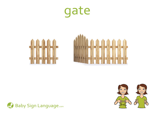 Gate Baby Sign Language Flash card
