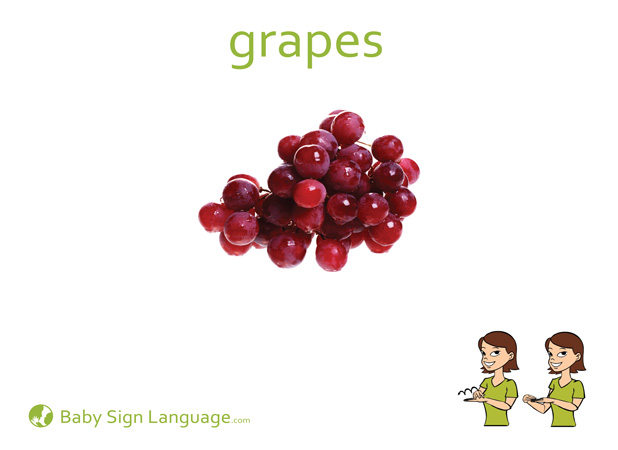 Grapes Baby Sign Language Flash card