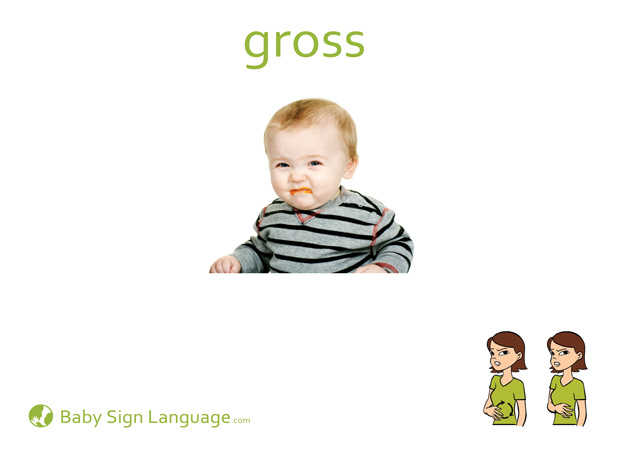 Gross Baby Sign Language Flash card