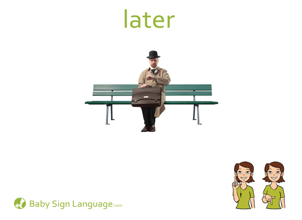 Later Baby Sign Language Flash card