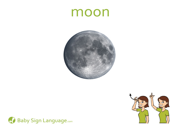 Moon Baby Sign Language Flash card