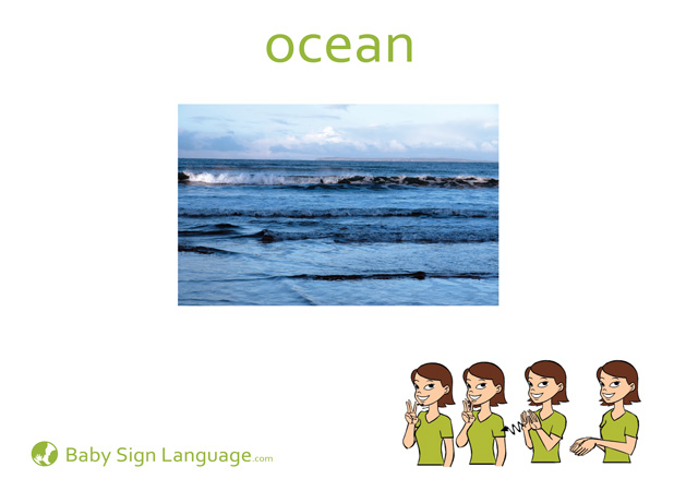 Ocean Baby Sign Language Flash card
