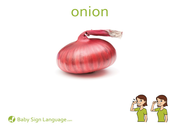 Onion Baby Sign Language Flash card