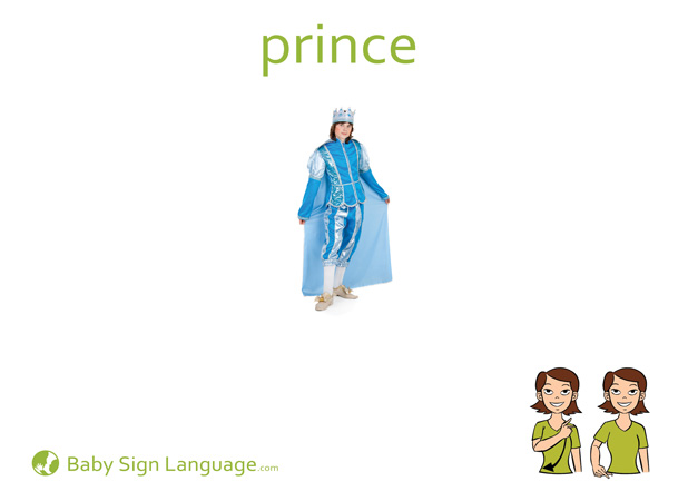 Prince Baby Sign Language Flash card
