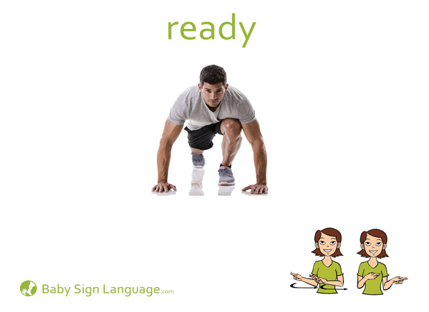 Ready Baby Sign Language Flash card