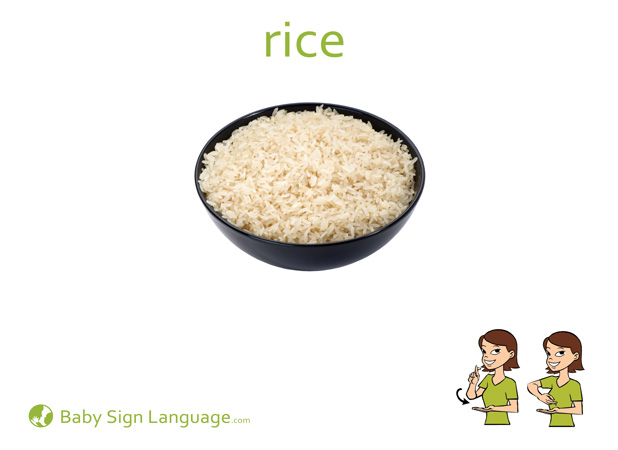 Rice Baby Sign Language Flash card