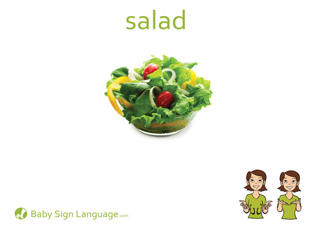 Salad Baby Sign Language Flash card