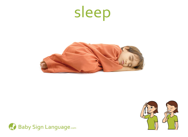Sleep Baby Sign Language Flash card