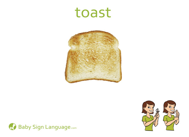 Toast Baby Sign Language Flash card