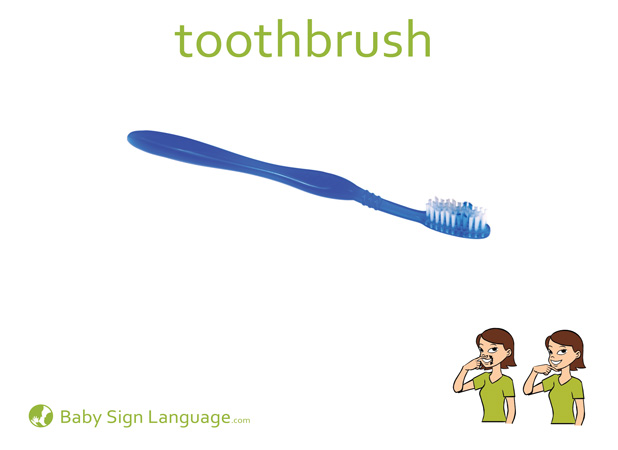 Toothbrush Baby Sign Language Flash card