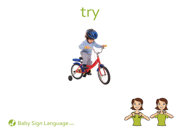 Try Baby Sign Language Flash card