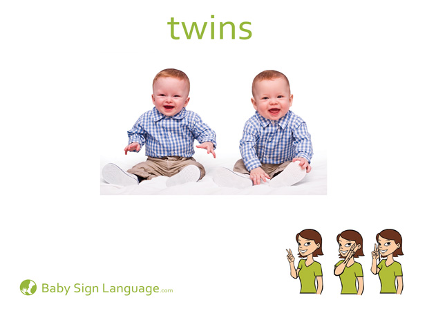 Twin