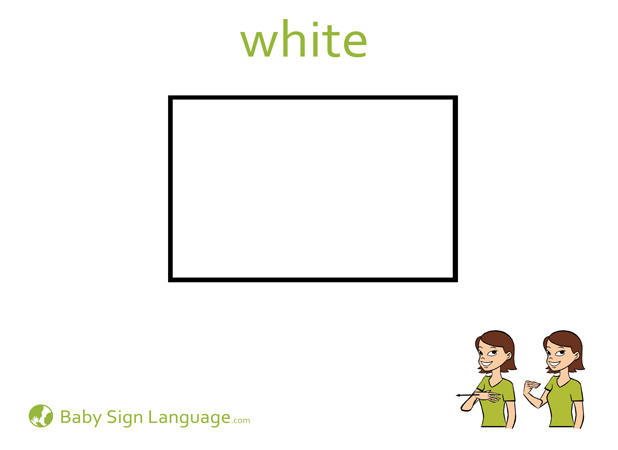White Baby Sign Language Flash card