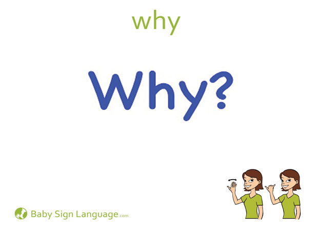 Why Baby Sign Language Flash card