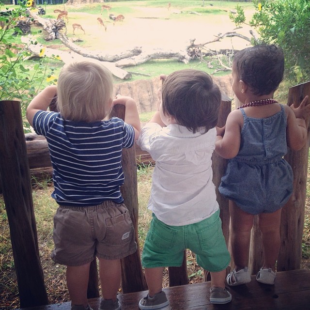 sign language at the zoo