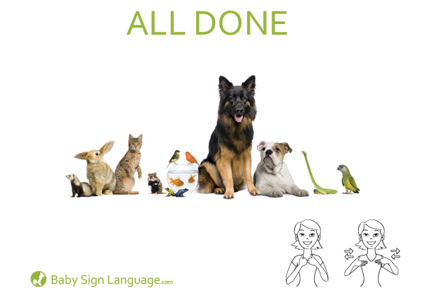 Animal-Baby-Sign-Language Animal Baby Sign Language Flash card
