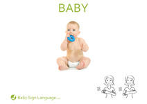 Book Flash Card