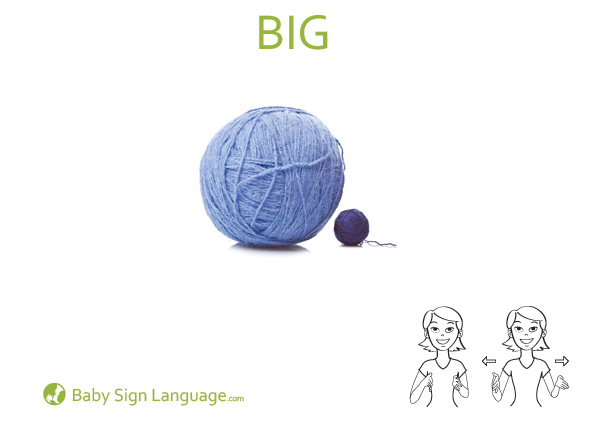 Big Baby Sign Language Big Baby Sign Language Flash card