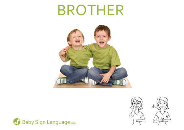 Brother Baby Sign Language Flash card