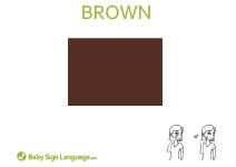 Brown Flash Card