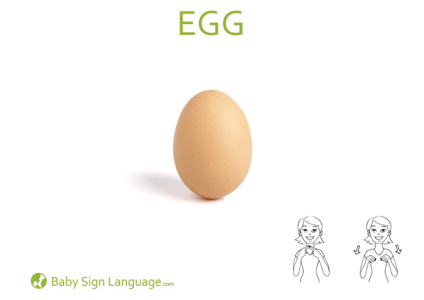 Egg-Baby-Sign-Language Egg Baby Sign Language Flash card