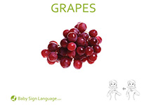 Grapes Flash Card