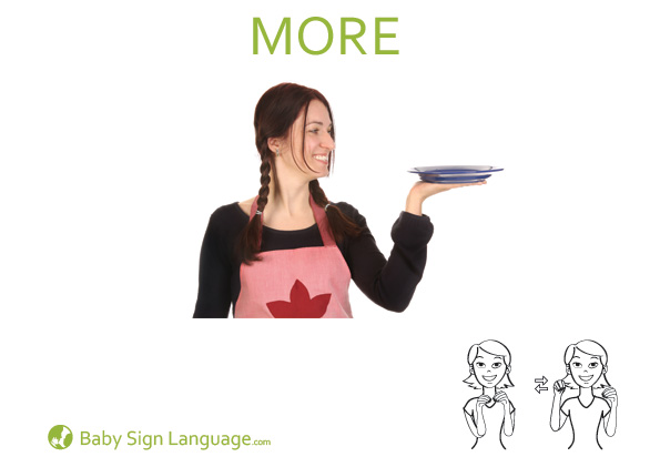 More Baby Sign Language Flash card