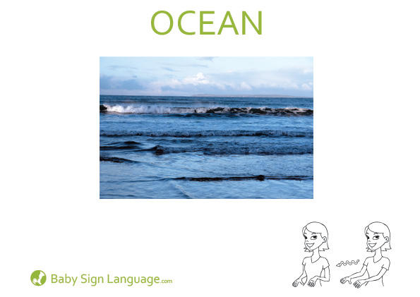 Ocean-Baby-Sign-Language Ocean Baby Sign Language Flash card