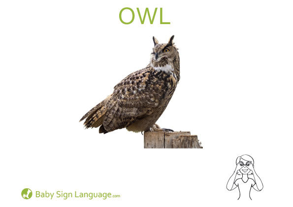 owl-Baby-Sign-Language owl Baby Sign Language Flash card
