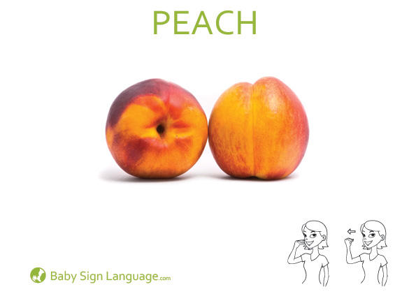 Peach Baby Sign Language Flash card