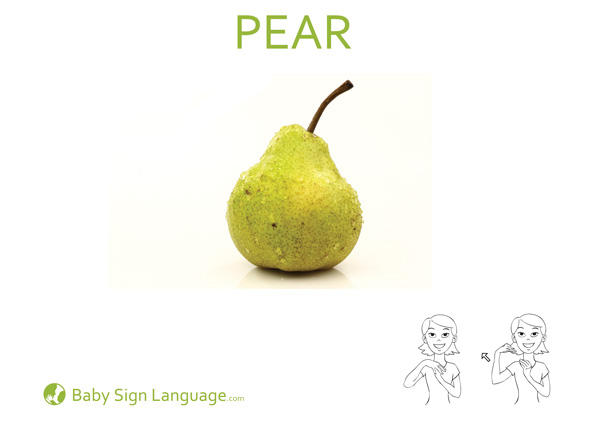 pear-Baby-Sign-Language pear Baby Sign Language Flash card