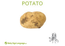 Potato Flash Card Potato Flash Card