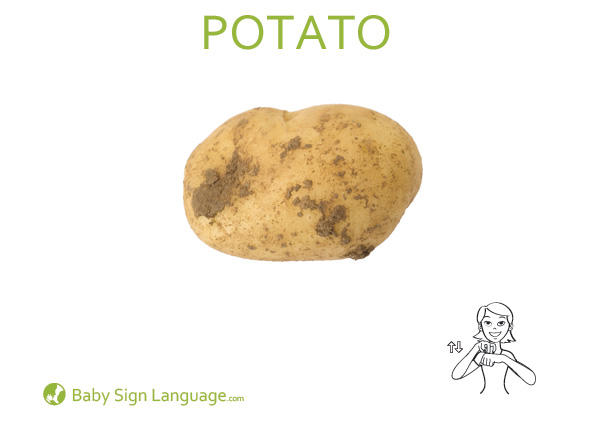 potato Baby Sign Language Flash card