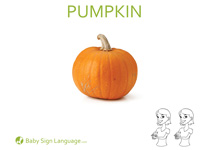 Pumpkin Flash Card