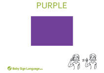 Purple Flash Card