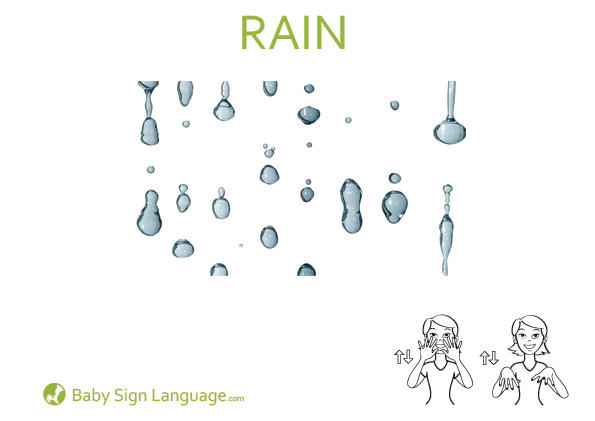 rain Baby Sign Language Flash card