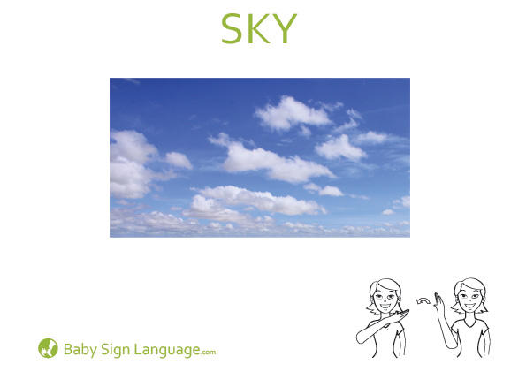 Sky Baby Sign Language Flash card