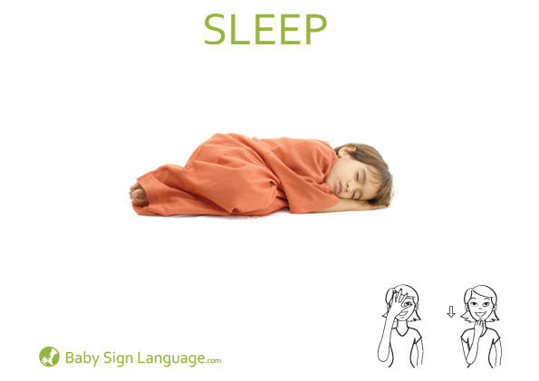 Sleep Baby Sign Language Flash card