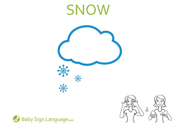 Snow Baby Sign Language Flash card
