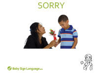 Sorry Flash Card