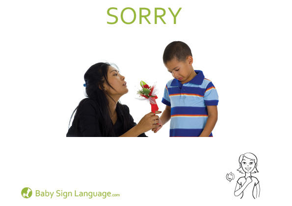 Sorry Baby Sign Language Flash card