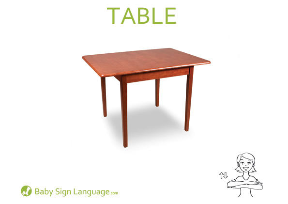 Table Baby Sign Language Flash card