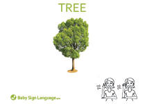 Tree Flash Card Thumbnail