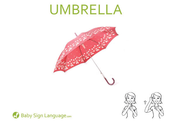 Umbrella Baby Sign Language Flash card