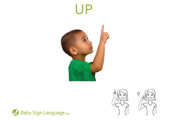 Up-Baby-Sign-Language Up Baby Sign Language Flash card