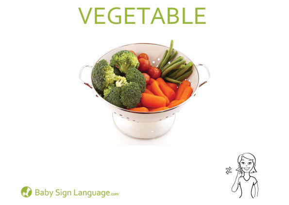 Vegetable Baby Sign Language Flash card
